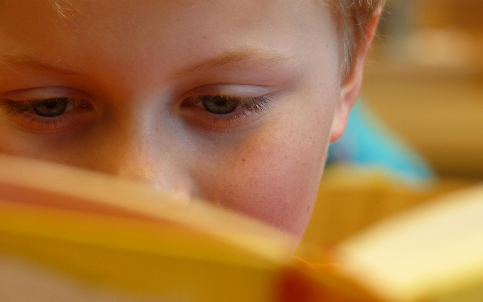 Lesender Buch. Gesicht ist halb von einem Buch verdeckt.